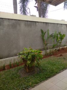 rumah dijual (14)