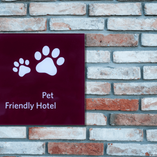 sewa apartemen pet friendly